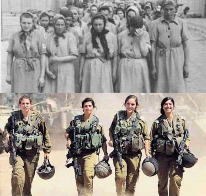 alexandregarcia's tweet image. Vítimas nunca mais!