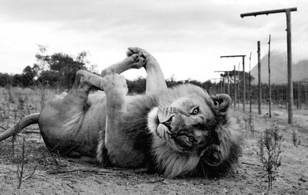 Watch Leo Grand's leaked NSFW photo on TwXstars