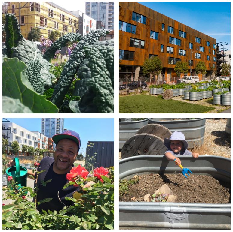 Join us for a free class tomorrow! Saturday 16th at 11am we'll share some how-to #gardeningtips on affordably growing your own produce, learning about which crops thrive in the Bay Area winter, and how to keep them sprouting all season long. 
#parklabcommunitygarden