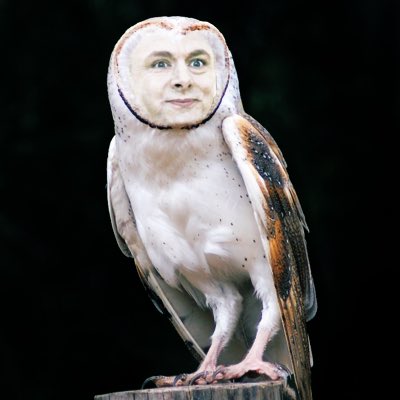 michaelsheen's tweet photo. #NewProfilePic https://t.co/9tGSM7ZZWQ