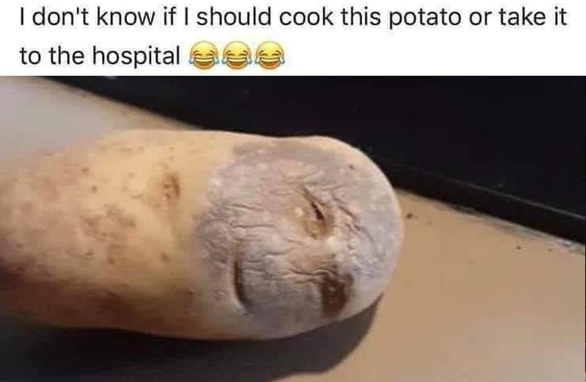 NumbatNinja's tweet photo. 🥔😄
RIP Potato https://t.co/cfj8oOWo82