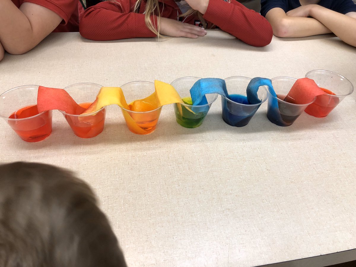 Scientist Annie showing capillaries in action!  What a fun experiment!