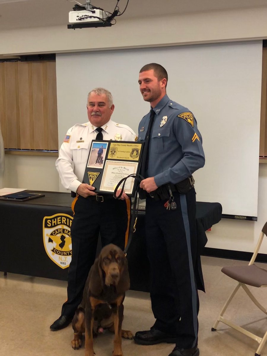 HaddonfieldPol1's tweet photo. The police department couldn’t be prouder of Cpl.Sorg and K9 Blue for completing an intensive 10 week Bloodhound Academy. Sorg &amp; Blue graduated at the top of the class by successfully making over 150 “tracks” with the longest one over 3 miles!! https://t.co/vDCs12R325