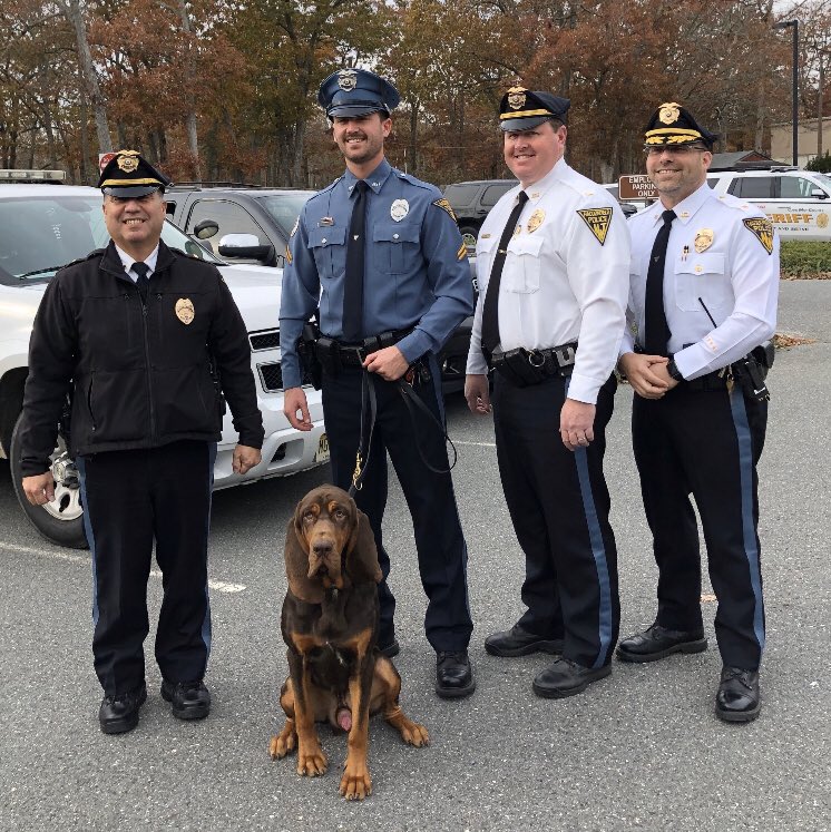 HaddonfieldPol1's tweet photo. The police department couldn’t be prouder of Cpl.Sorg and K9 Blue for completing an intensive 10 week Bloodhound Academy. Sorg &amp; Blue graduated at the top of the class by successfully making over 150 “tracks” with the longest one over 3 miles!! https://t.co/vDCs12R325