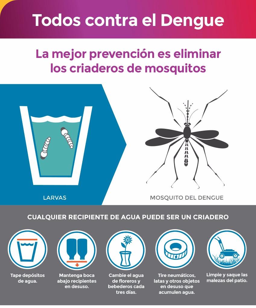 #TodosContraElDengue PREVENGAMOS LA PROPAGACION DEL MOSQUITO TRANSMISOR CUIDANDO LOS ESPACIOS LIBRES DE OBJETOS DONSE SE PUEDAN REPRODUCIR! <a href="/sebabonduri/">Sebastian Bonduri</a> <a href="/angelicasosa006/">Angé.so</a> <a href="/matiaszaki16/">Ezequiel Nuñez</a> <a href="/patriciapinasco/">Patricia Pinasco</a> <a href="/fguillesaavedra/">GUILLERMO SAAVEDRA</a>