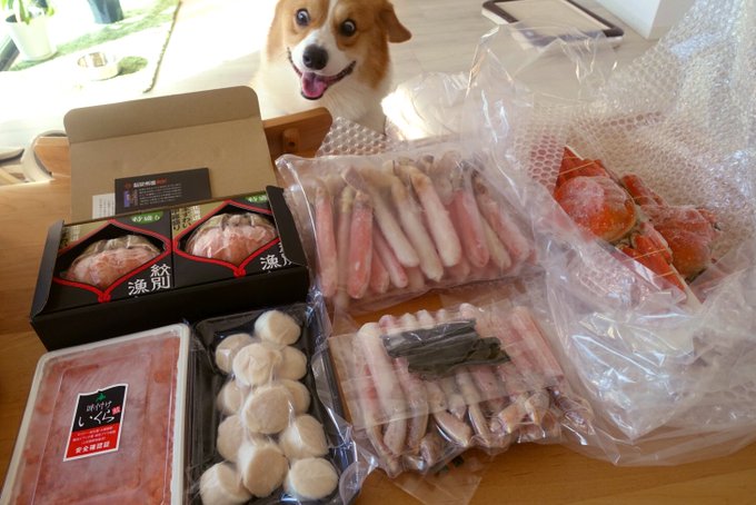 ふるさと納税の豪華な返礼品の画像なのに背後でこんな顔されたらもう