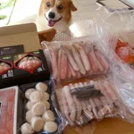 年度末、やらなきゃ損だよ!ふるさと納税!返礼品で冷蔵庫パンパン