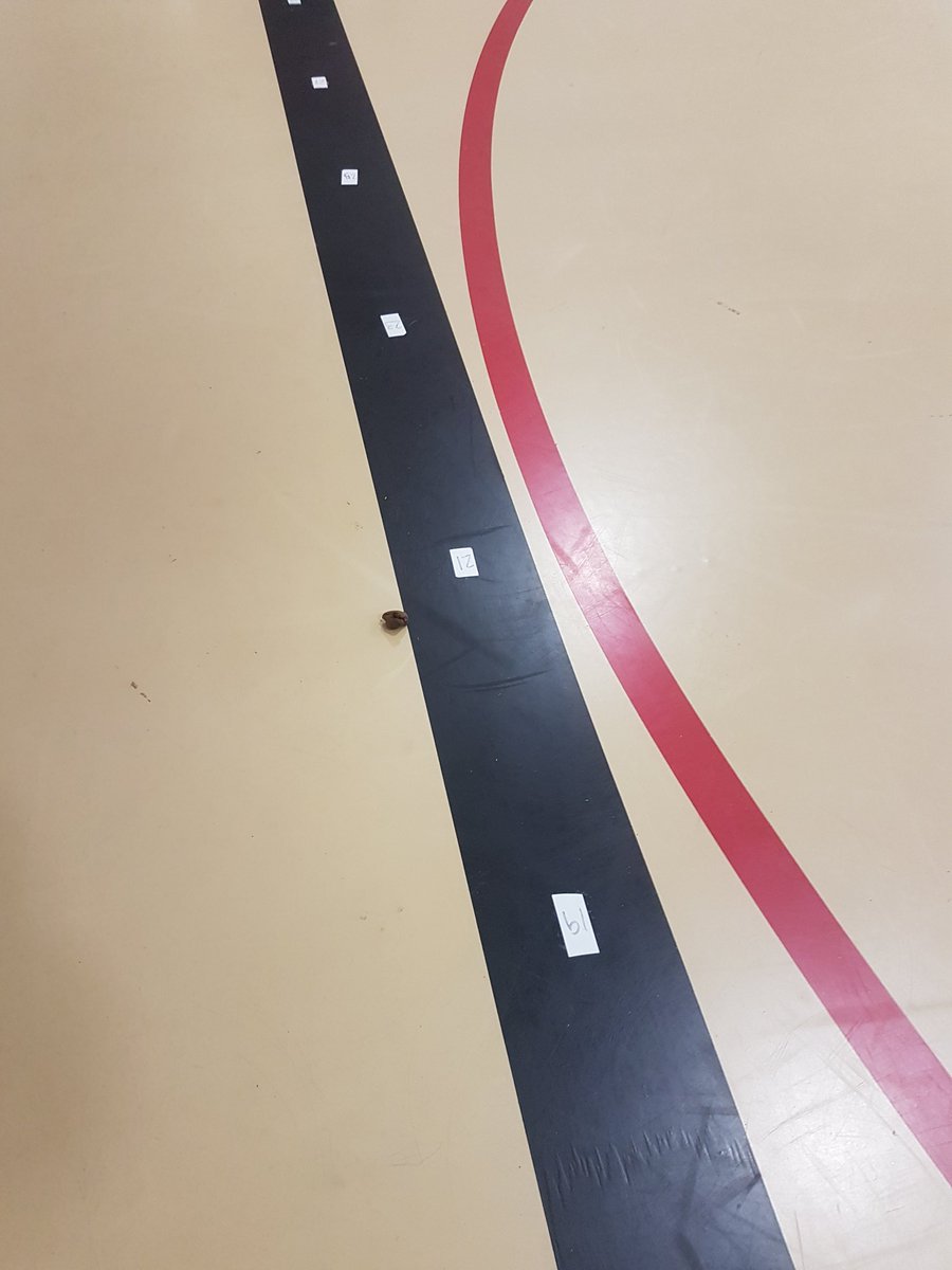 Coach Payne (@homesteadpe) on Twitter photo Who can relate to this #elementaryPEsurprise. Friday, last class is out of the gym.   Some 1st grader dropped  something in the line up area.  As you get closer, youre thinking playdough.   Closer now, the smell tells you its not brown playdough!💩 #elementarype #alaskape #physed Who can relate to this #elementaryPEsurprise. Friday, last class is out of the gym.   Some 1st grader dropped  something in the line up area.  As you get closer, youre thinking playdough.   Closer now, the smell tells you its not brown playdough!💩 #elementarype #alaskape #physed