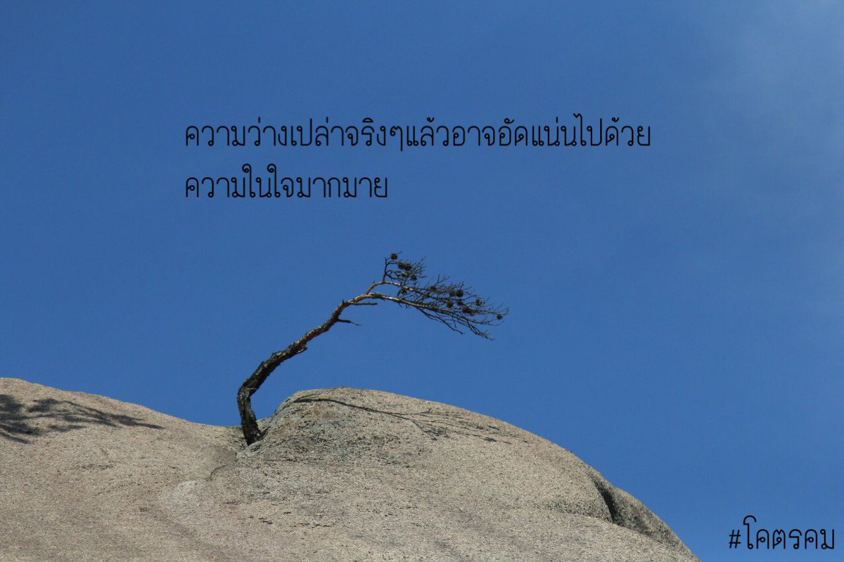 kohtkom's tweet photo. ความว่างเปล่าจริงๆแล้วอาจอัดแน่นไปด้วยความในใจมากมาย #โคตรคม #คำคม #บอกรัก #ความรู้���ึก https://t.co/DZu7ypiDdX
