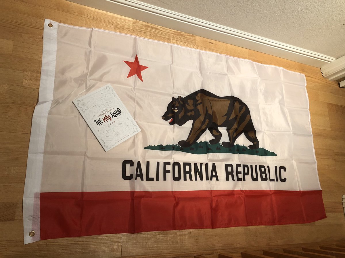 dprnuest's tweet photo. hi san francisco choice, @junholyc and i will be bringing a california flag to the concert. find us in line so you can sign it and we can give it to the boys! #ACEinSF #ACEinUS #ACE https://t.co/L2YgoVLjtK