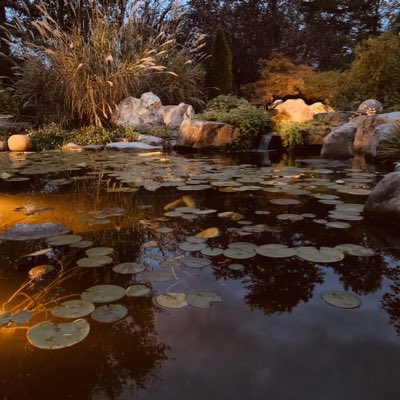 alan_koontz's tweet photo. #NewProfilePic https://t.co/b8nE8pD6UB