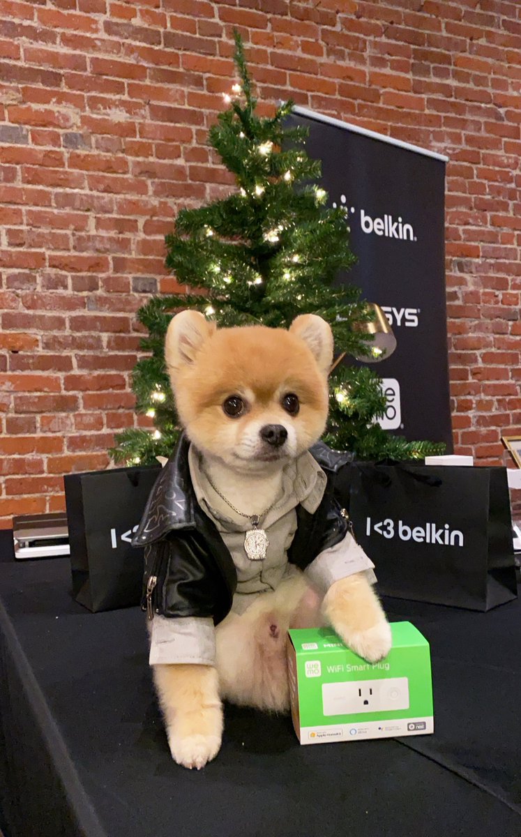 We were at #MashupLA with your favorite influencers, keeping phones powered 🔋⚡and content rolling 🤳 #BetterWithBelkin