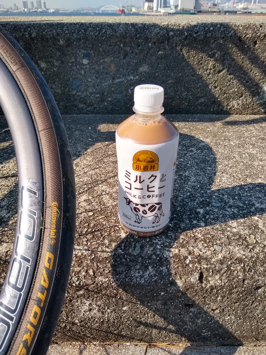 BicycleMan79's tweet photo. お手軽コーヒーライド🚲
Rawlowのフロントバッグ具合が良い。ミラーレス一眼がぴったり。バランス取るのにアピデュラのフレームバッグも付けてみたところいい感じ。
#コーヒーライド
#グランピースタイル
#rawlow
#panasonic https://t.co/6uc6Vzd8Rd