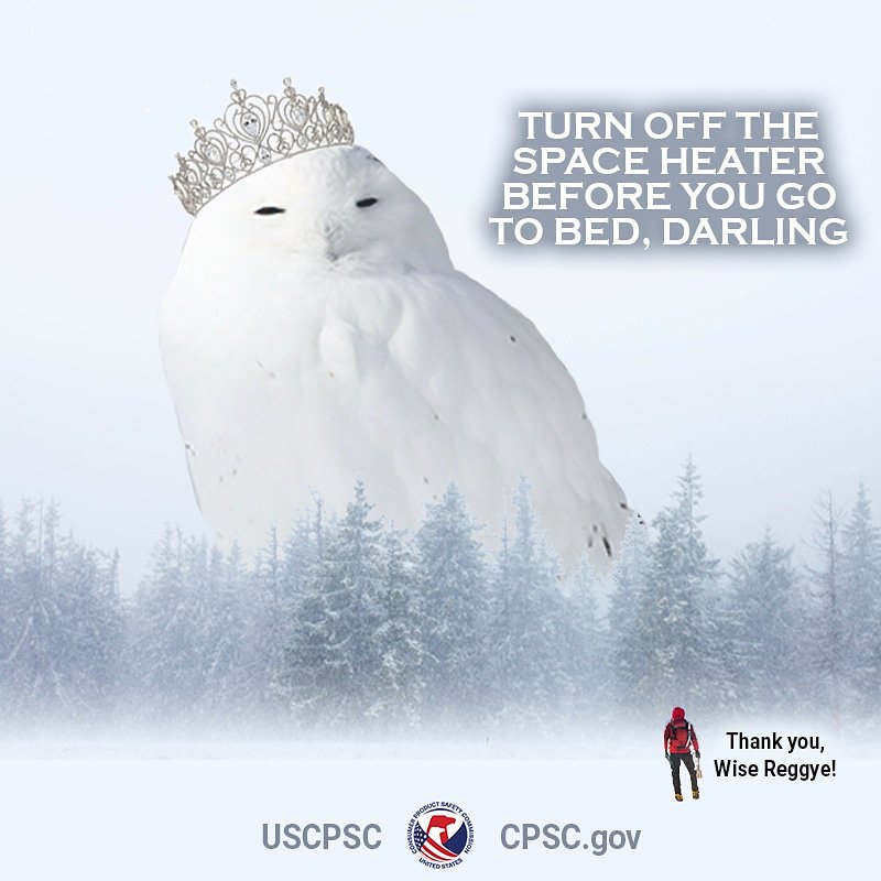 A large snow owl the size of a building standing in the woods. A person stands before them. The text reads: turn off the space heater before you go to bed, darling. The person replies thank you wise Reggye