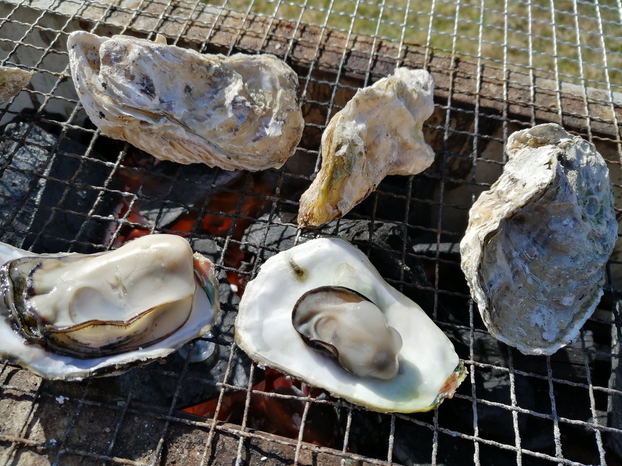 鈴木ちゃん ごちそうさまでした 完食 絶対に負けられない戦いがそこにはある 九十九島パールシーリゾート かき食うカキ祭り 朝から食う 笑 長崎 佐世保 海きらら 森きらら カキ 牡蠣 カキ インスタ映え オイスタ映え T Co C6rnvzryj0