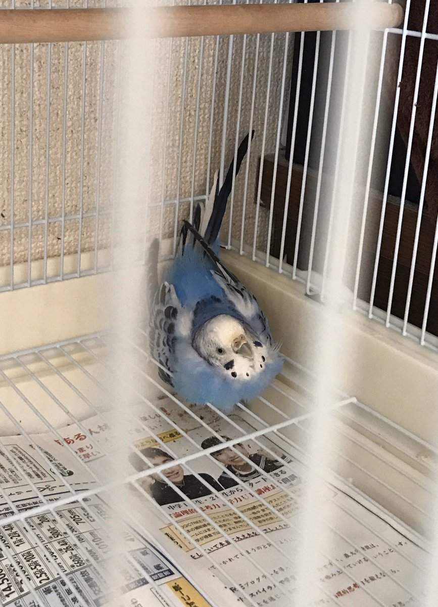 ぴぴちか あはは 確かに当初の勢いだと 今頃温泉掘り当ててましたね 笑 最近は すみっコぐらし が定番となっていて 壁紙を巡る攻防戦 はほぼ休戦状態なんです んこちゃん ぴぴちか あはは 確かに当初の勢いだと 今頃温泉掘り当ててましたね 笑 最近は すみっコぐらし が定番となっていて 壁紙を巡る攻防戦 はほぼ休戦状態なんです んこちゃん