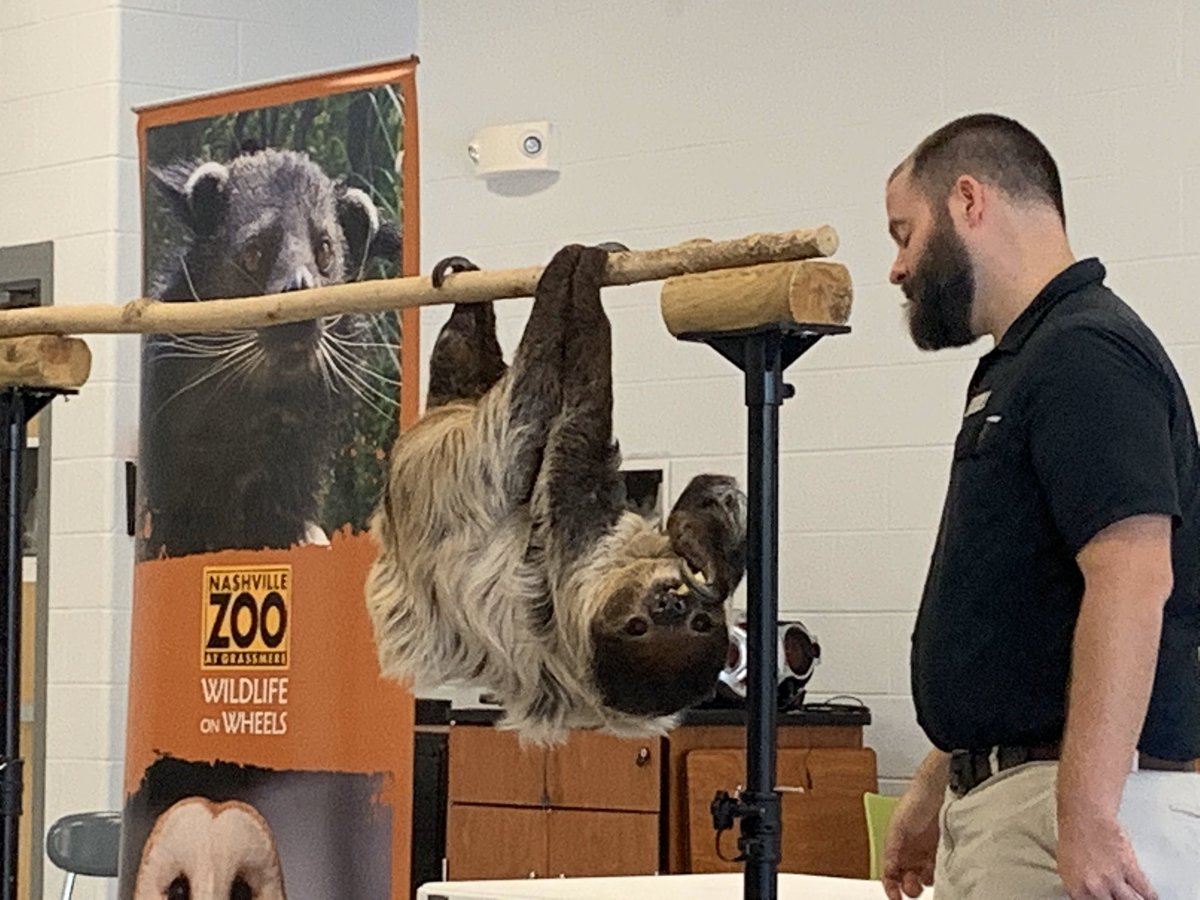 CarmelElem's tweet photo. 3rd grade learned about animal adaptations and climate. The Nashville Zoo visited and taught them about the various animals they brought, the climates they live in, and the adaptations they need to survive! They later used this information for their PBL! #wearecarmel https://t.co/Q5JDyrmdIY