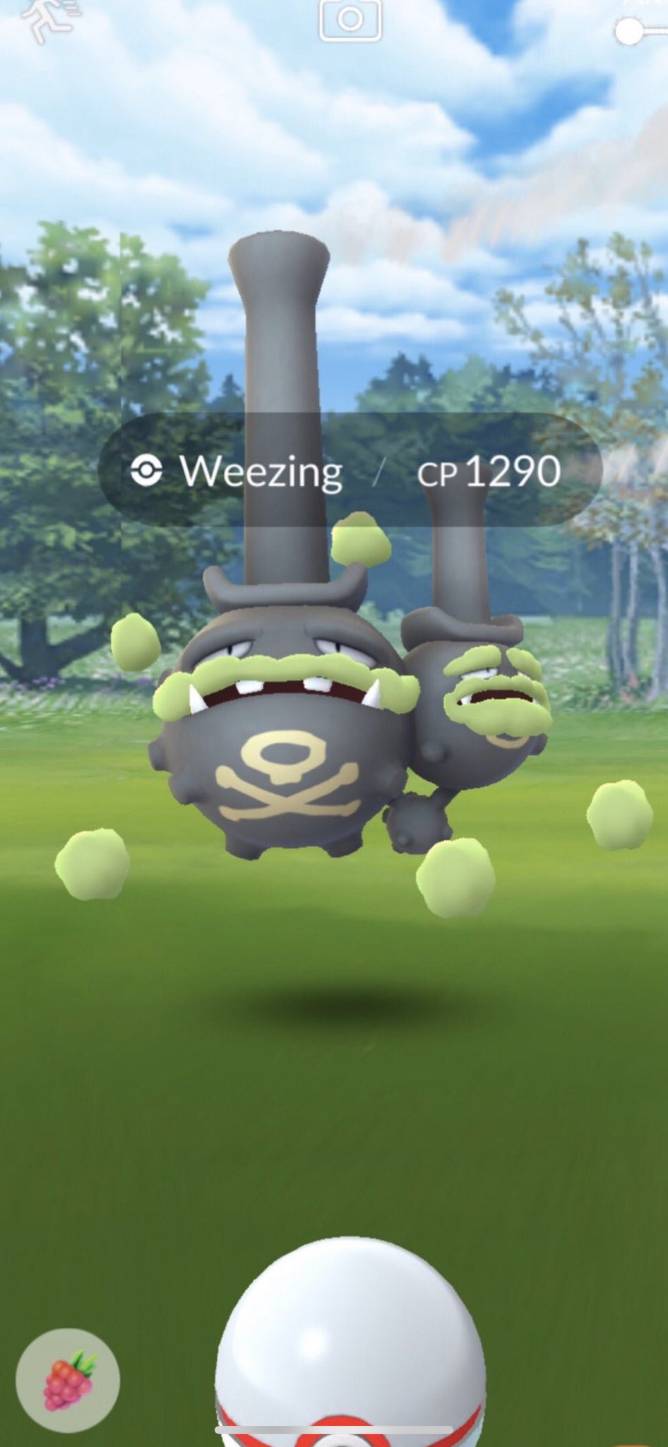 Jash 日本一周の冒険準備中 Ar Twitter ガラルマタドガスは毒 フェアリータイプです エスパー 地面 鋼が弱点なので ミュウツー グラードン メタグロスがオススメですよ コミュニテイデイ直後に爆脇するっぽいんで皆んなでガラルっちゃおうぜ ポケモンgo