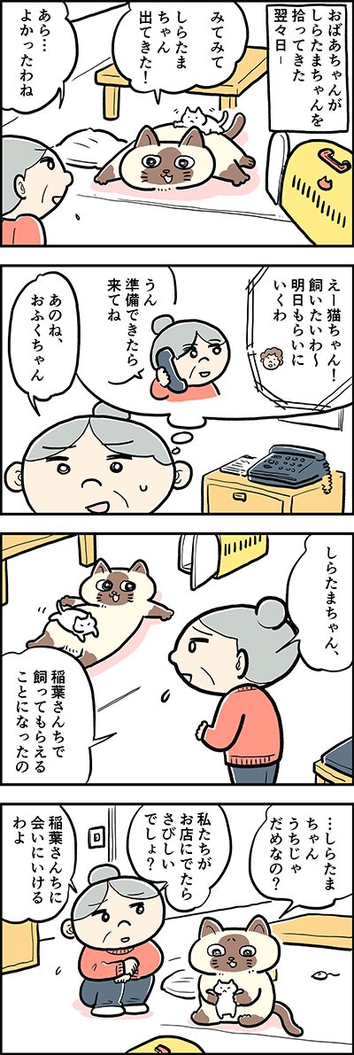 おふくちゃん?泣かないで

『猫のおふくちゃん』の過去のお話「おふくちゃんと子猫③」がカラーになりました。
毎週水曜と土曜に連載中♪

⇒( 

#猫のおふくちゃん 