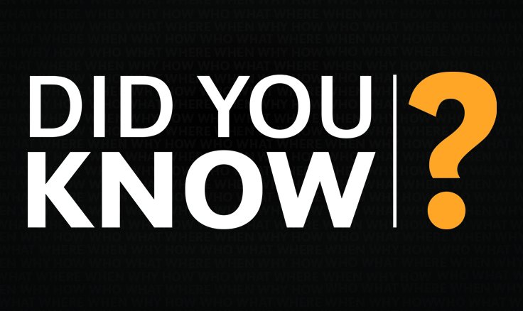 Did you know. Do you know picture. Картинки do you know. Студия do you know. Логотип.