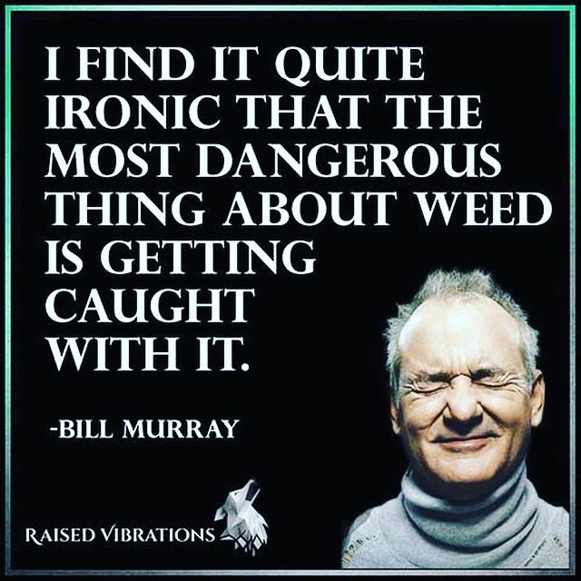 #marijuana medicates , #weed enhances #cannabis cures 
#whatailsya #bigpharma kills ya #opioids #barbituates etc hook ya📌 @realDonaldTrump 🤷🏼‍♀️#marijuanavoters implore ya✌️