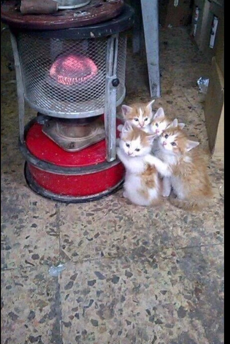 shafi9988's tweet photo. #البراد_هب_ويبيله جاء وقته https://t.co/tWfQKuqxDV
