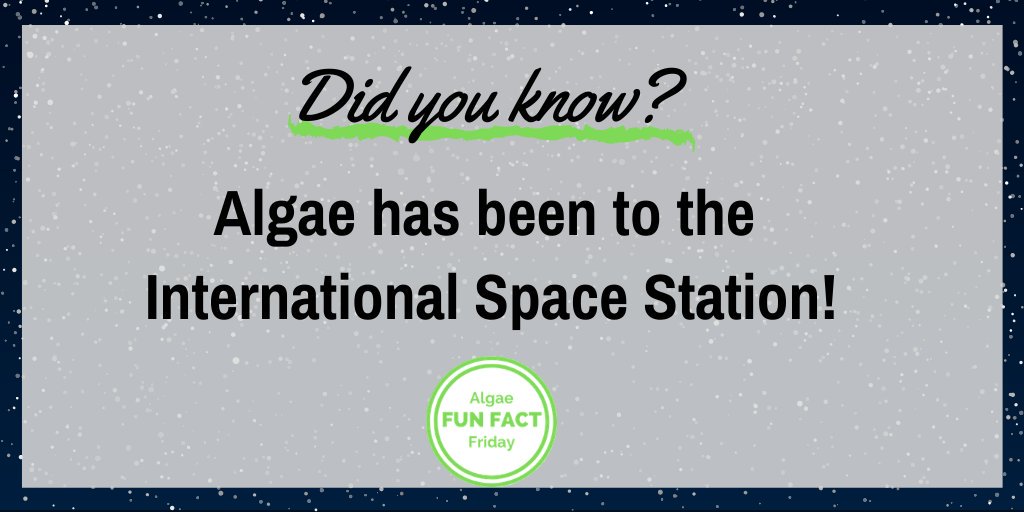 ATECalgae's tweet photo. It's Friday and you know what that means?

Another #AlgaeFunFactFriday!

Did you know #algae has been to space? Check out more at the link below!

https://t.co/wqrF0msTy2

#algaeinspace #themoreyouknow https://t.co/XqieuW4Rqe