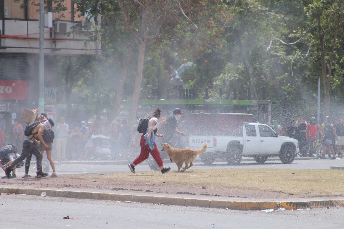 tgarcesv's tweet photo. Rubio matacapucha!?!?
Hay un Rucio, está con el pueblo y es matapacos! ✊✊✊
#RucioMatapacos #NegroMatapacosPresente #ACAB https://t.co/U6IFnqt7JS