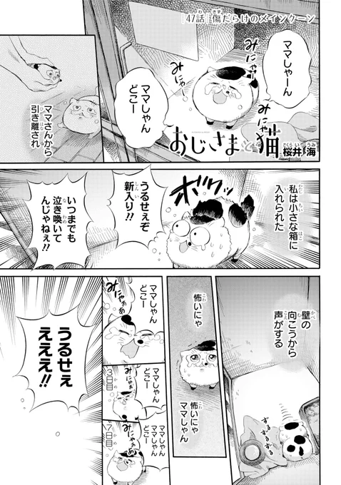 【おじさまと猫 47話】 傷だらけのメインクーン
本編の47話が更新しました!
続きはこちらです↓
 