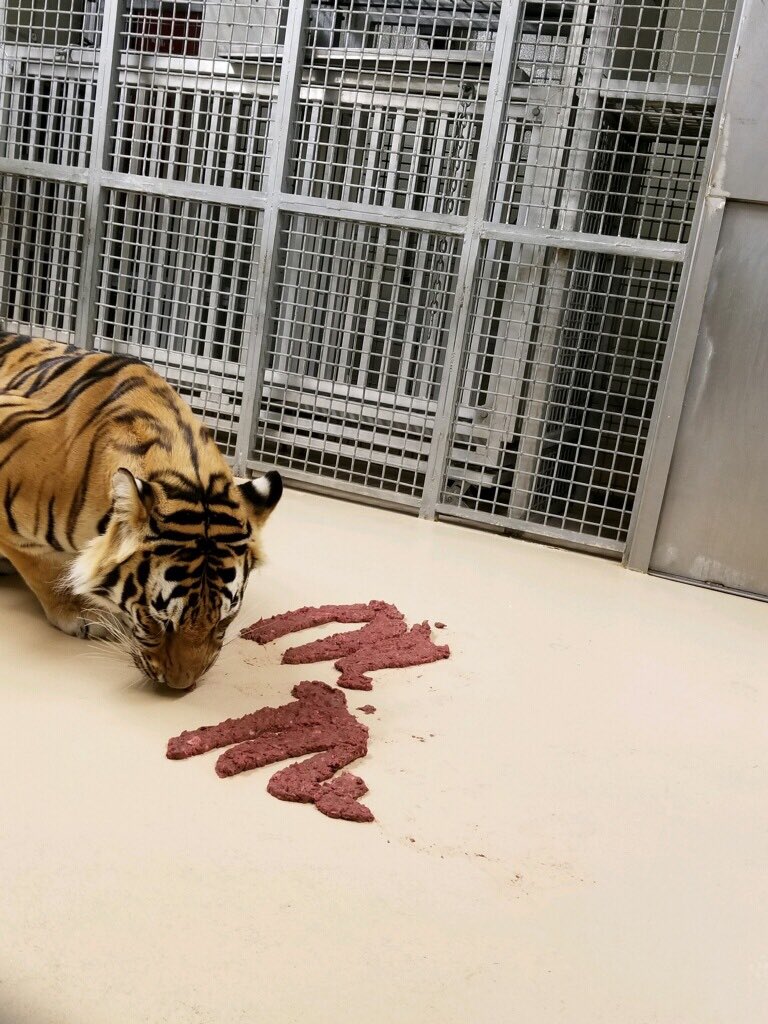 Mike VII tweet media