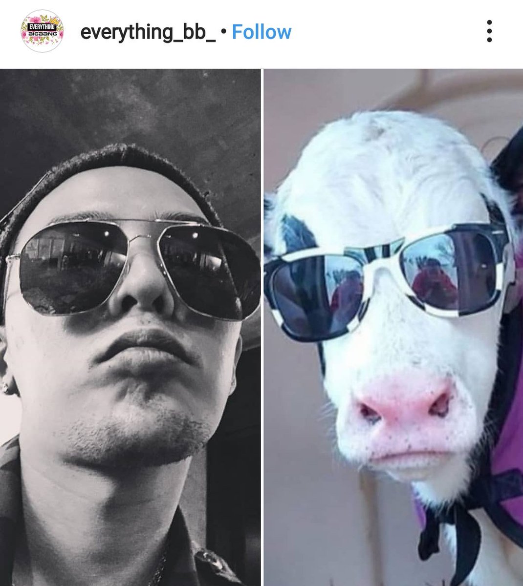 titi_dela_tv's tweet photo. #lookalike #gtop #GDRAGON #top #Gcow https://t.co/lNnZziT6DR