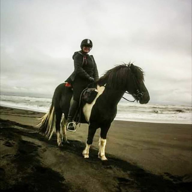 One of our guides told us that she'd been chasing the feeling of her first black sand beach ride on every excursion ever since her first.
.
Here's to the pursuit.
.
#girlgetoutside #horsegirl #iceland🇮🇸 #seetheworld #eldhestar #wildwomenexpeditions #icel… ift.tt/3518aOu