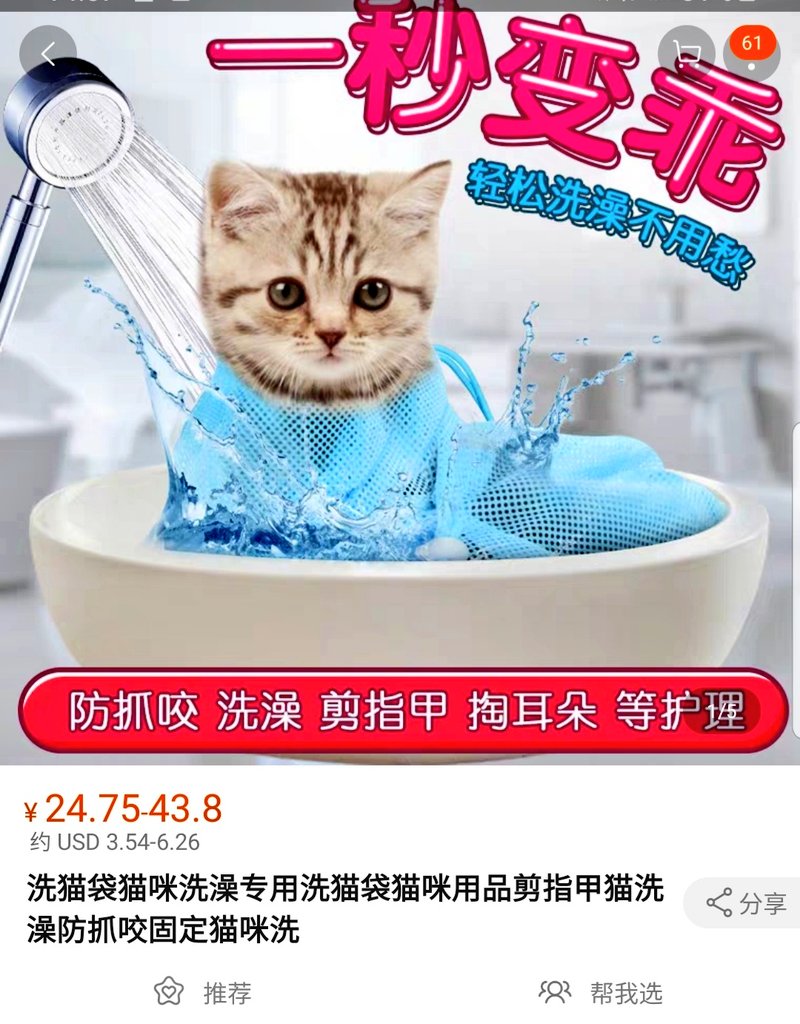 This is such a bad idea they couldn't even make a real cat wear it. #taobao #seenontaobao