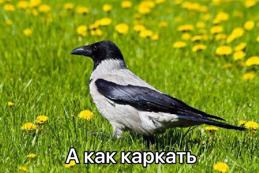 EJe7G5LWsAUugV8?format=jpg&name=small