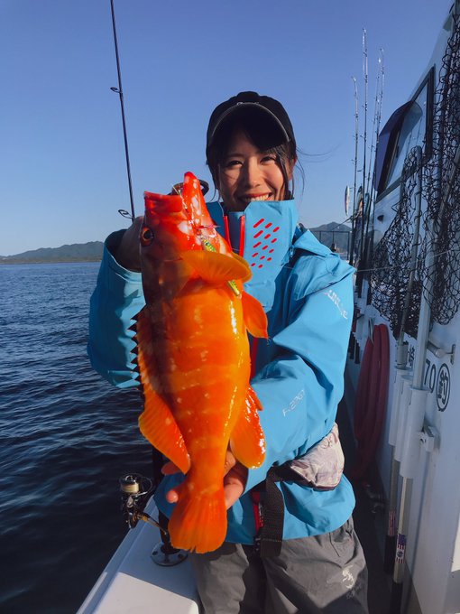 アカハタの特徴 見分け方 写真から探せる魚図鑑