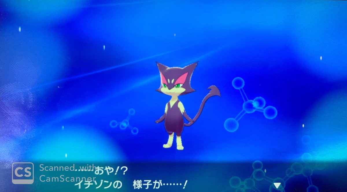 霧島明 推し狂人 霧島のポケモン剣vs盾vs鍋 かわいいがふつくしいになった タカノツメ 二足歩行から四足歩行になった すばやさが上がりそうだな