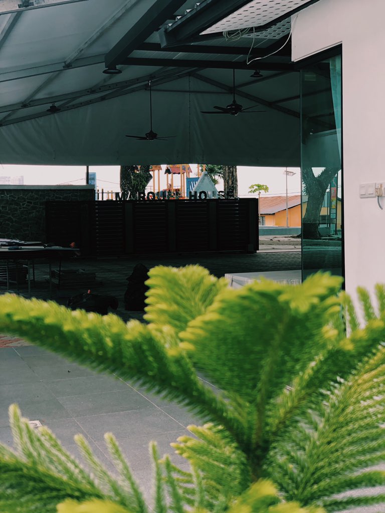 AmsyarJaafar's tweet image. 🕊 #okaygo