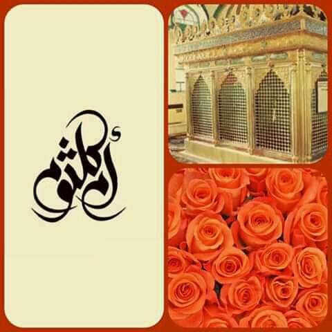 ZalishZ's tweet photo. ﷽
العجل العجل یا مولا ی یا صا حب الزاماں صلوات اللہ علیہ السلام 
18 ربیع الاوّلء
جشن ظہور پرنور زینب صغریٰ ص مخدومہ اسمت طہارت شہزدی اُم کلثوم ص بنت امام العالمین شہنشاہ امام امیر المومنین علی ص ابن ابیطالب ص کی بادشاہ ولی العصر کو مبارکباد پیش کرتے ہیں https://t.co/37LktSUxii
