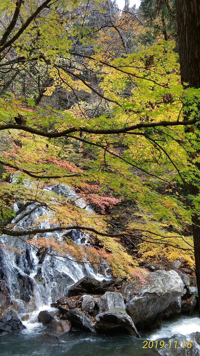 江竜田の滝の紅葉19 ぴんぼけ日記