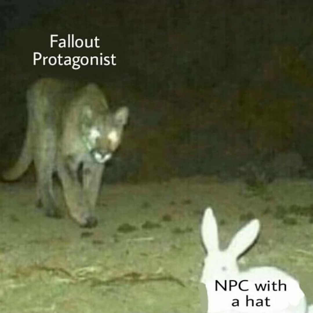 EJeMXdeXUAAGDma?format=jpg&name=medium