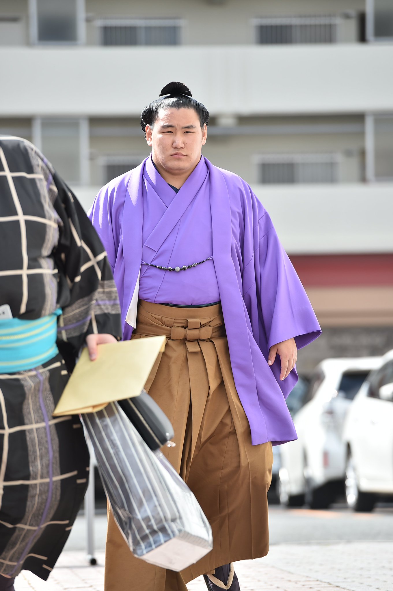 大相撲 豊昇龍関 浴衣生地 反物 一反 新品未使用