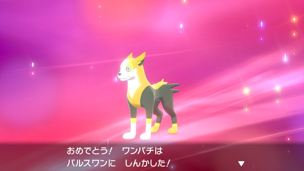 きこう元勇者 平日は挨拶無しで行きます Al Twitter ポケモン剣盾 Nintendoswitch ワンパチ進化 T Co Z6a3yz0k7b Twitter