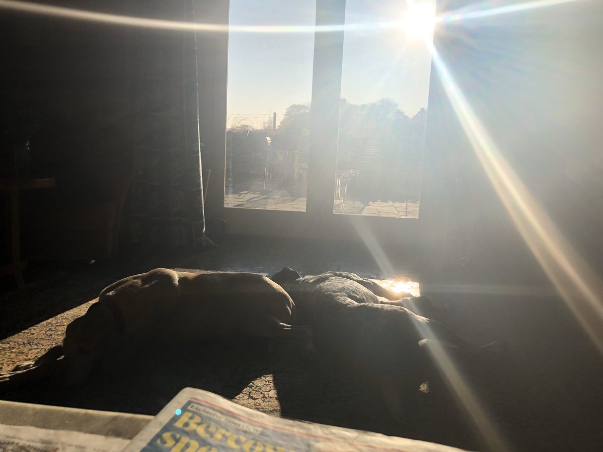 Just a reminder that the sun DOES come out... <a href="/stayatmalabar/">The Malabar</a> with my Polly last weekend looked like this ☀️
.
.
#sedbergh #yorkshiredales