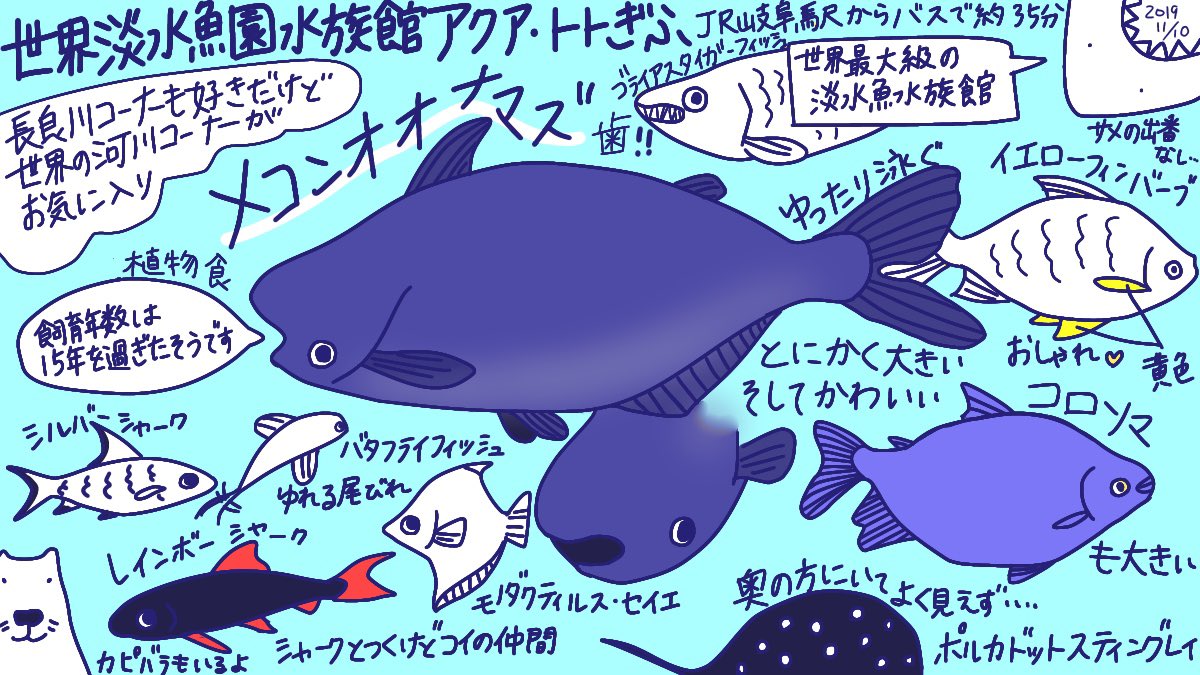 水族館イラストまとめ 19