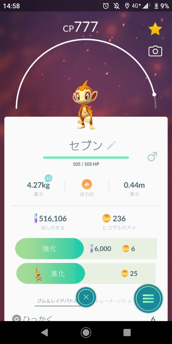 マダドガス マダドガス