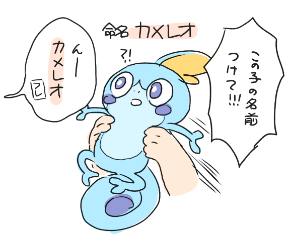 ちょこさんのポケモン剣盾 