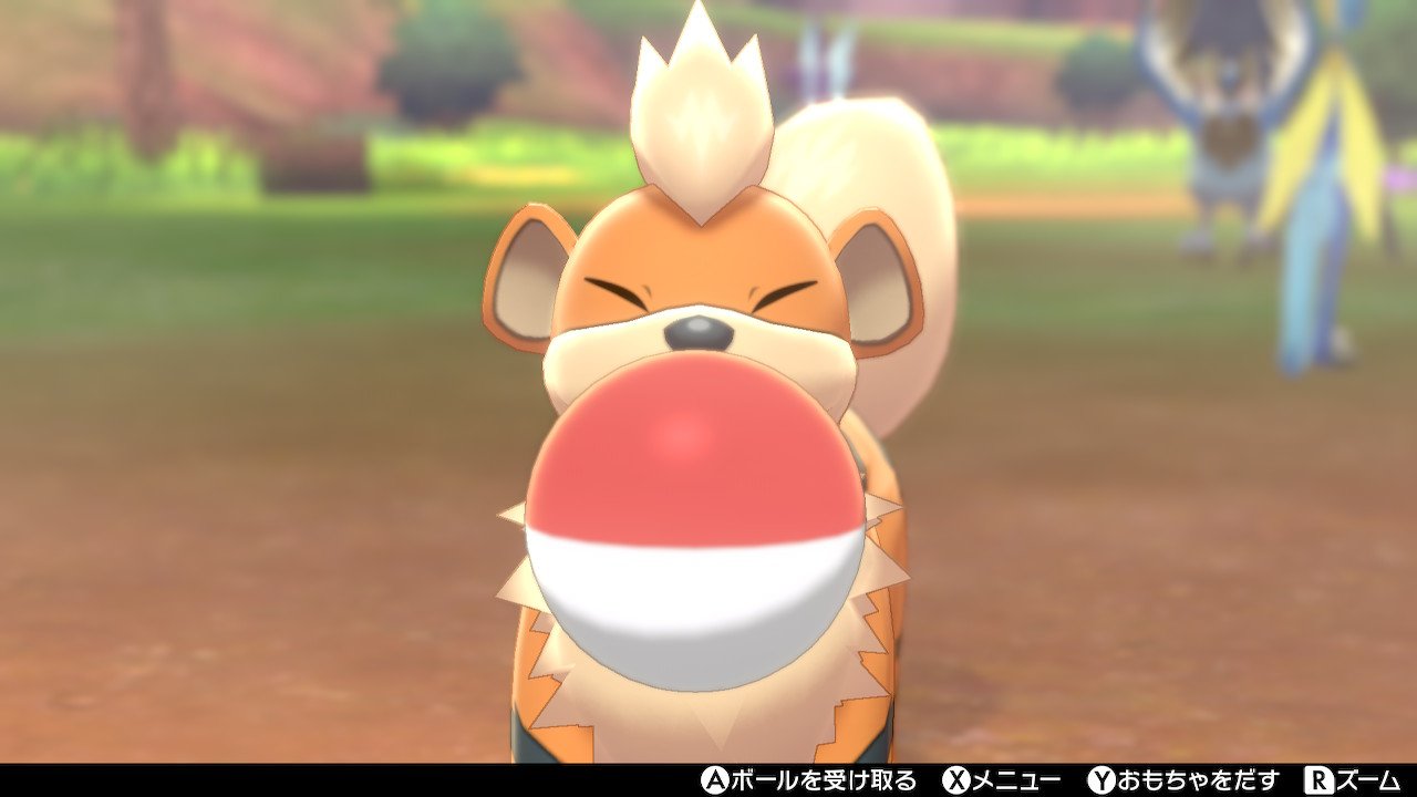 ライガ No Twitter 守りたい ガーディのこの笑顔 ポケモン剣盾 Nintendoswitch T Co 7dxuqxotqq Twitter