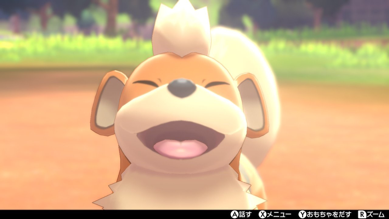 ライガ 守りたい ガーディのこの笑顔 ポケモン剣盾 Nintendoswitch T Co 7dxuqxotqq Twitter