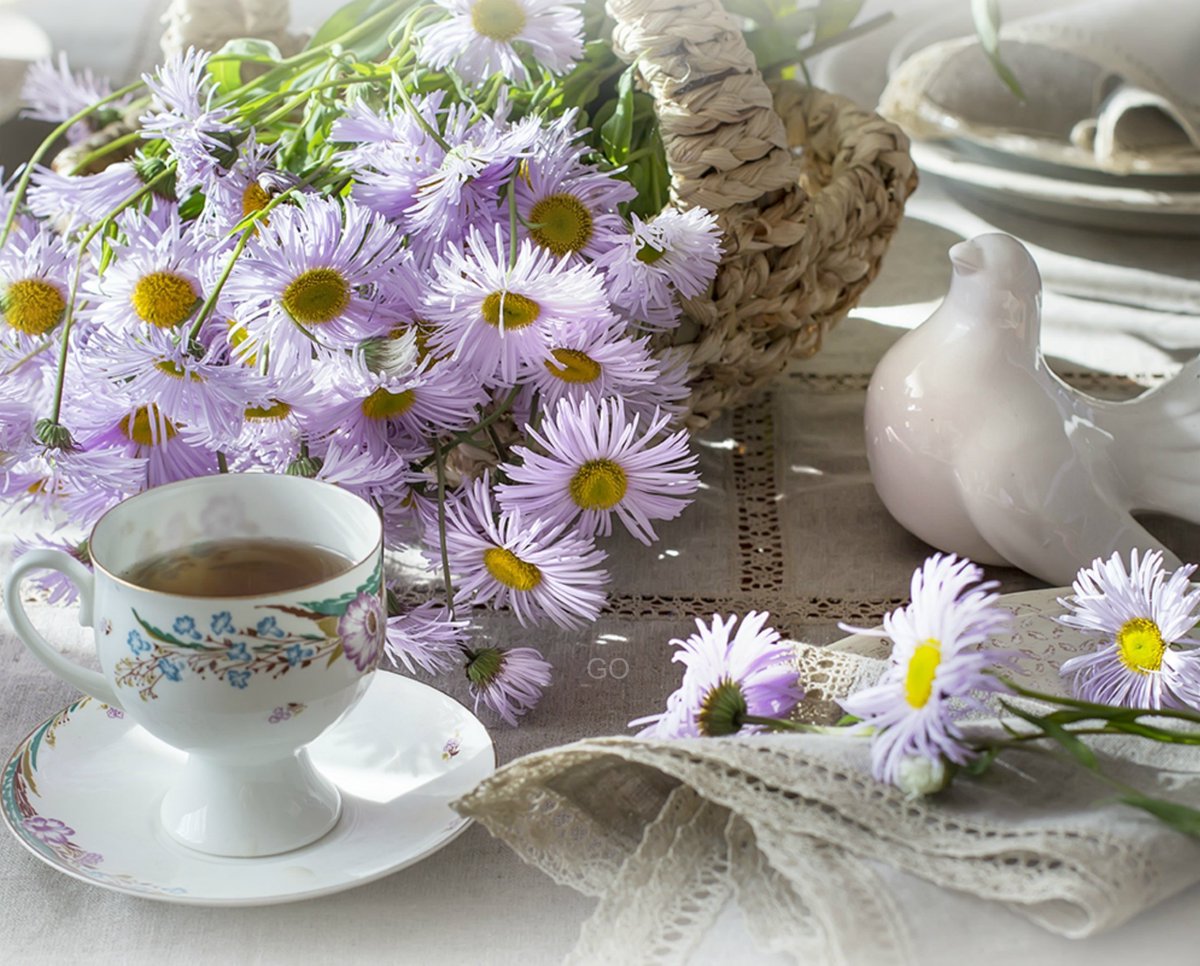 Доброго утречка и прекрасного настроения красивые. Звук прекрасного утра. Доброе летнее утро красивые. С добрым утром картинки красивые. Утренние цветы.