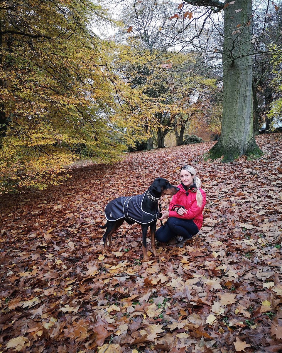StampedeEq's tweet photo. Autumn walks are just beautiful.... we are all wrapped up in our StampedeEq wear #dogs #doberman #GoodVetPetGuide #Cass_C7 #Qlimax54 #doberkidz https://t.co/CQn85YsVoy